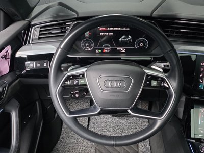 2020 AUDI E-TRON 缩略图 19