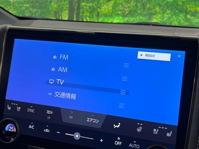 2023 TOYOTA ALPHARD — миниатюра 28