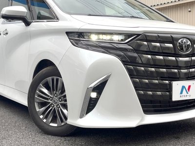 2024 Toyota ALPHARD 缩略图 13