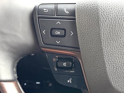 2024 Toyota ALPHARD 缩略图 60
