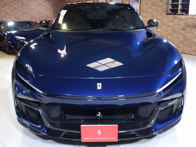 FERRARI PUROSANGUE - 7