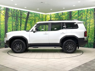 2025 Toyota LAND CRUISER 250 缩略图 32