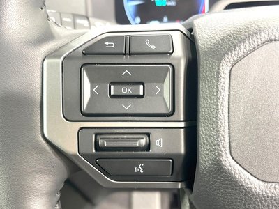 2025 Toyota LAND CRUISER 250 缩略图 49