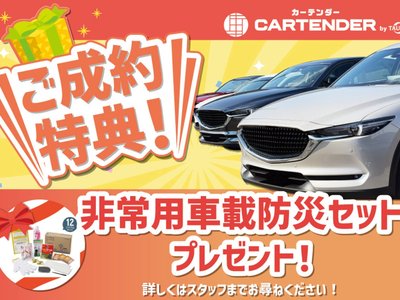 2023 Toyota ALPHARD — фото 9