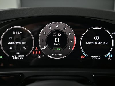 2025 Porsche CAYENNE 照片 8