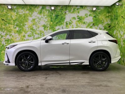 2023 Lexus NX photo 2