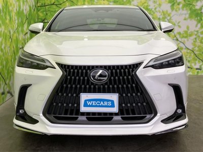 صورة مصغرة 39 لـ 2023 Lexus NX