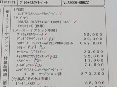 TOYOTA LAND CRUISER 300 - 6