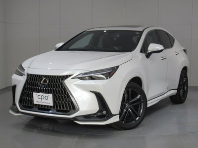 LEXUS NX - 1