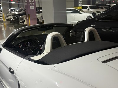 2017 Porsche 718 photo 4