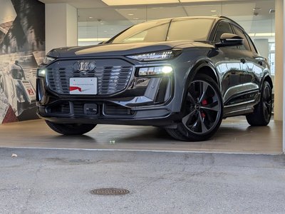 2026 AUDI Q6 E-TRON 缩略图 25