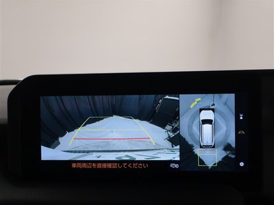 2024 Toyota LAND CRUISER 250 照片 9