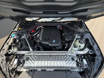 2025 BMW X3 thumbnail 11
