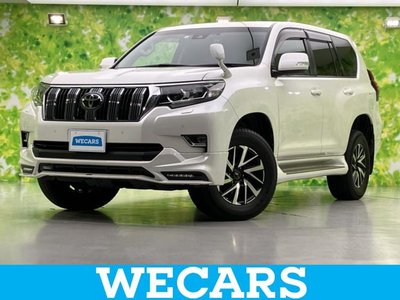 TOYOTA LAND CRUISER - 1