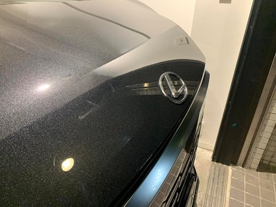 2024 Lexus LM — миниатюра 48
