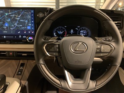 2024 Lexus LM — миниатюра 19