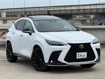 LEXUS NX - 10