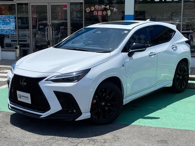 LEXUS NX - 3
