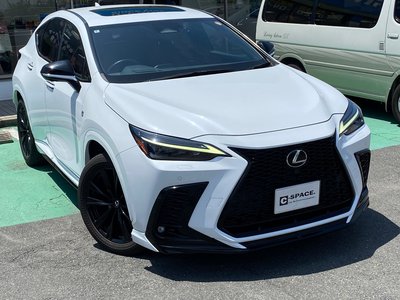 LEXUS NX - 6