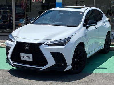 LEXUS NX - 2