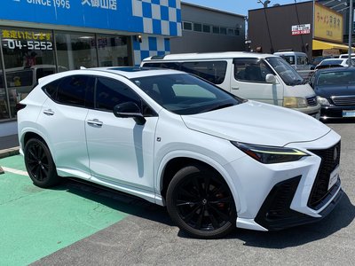 LEXUS NX - 8