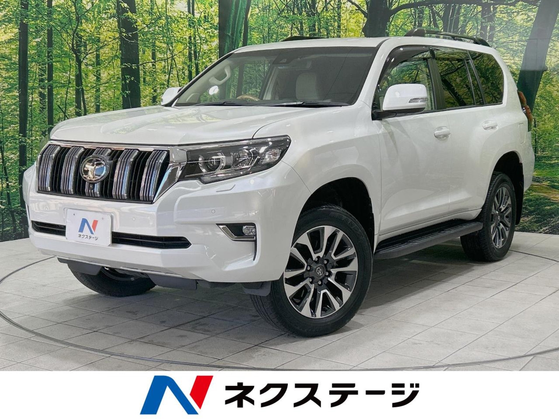 TOYOTA LAND CRUISER PRADO - View 1