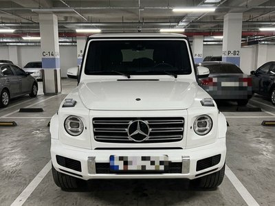 MERCEDES-BENZ G-CLASS - 2