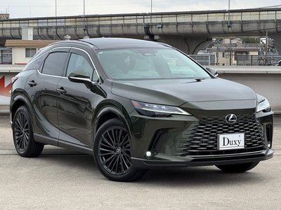LEXUS RX - 9