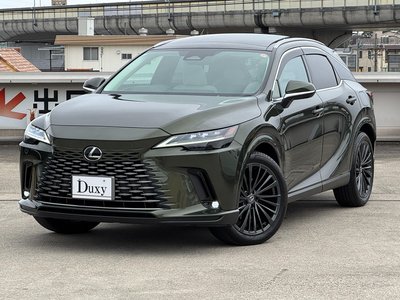 LEXUS RX - 10