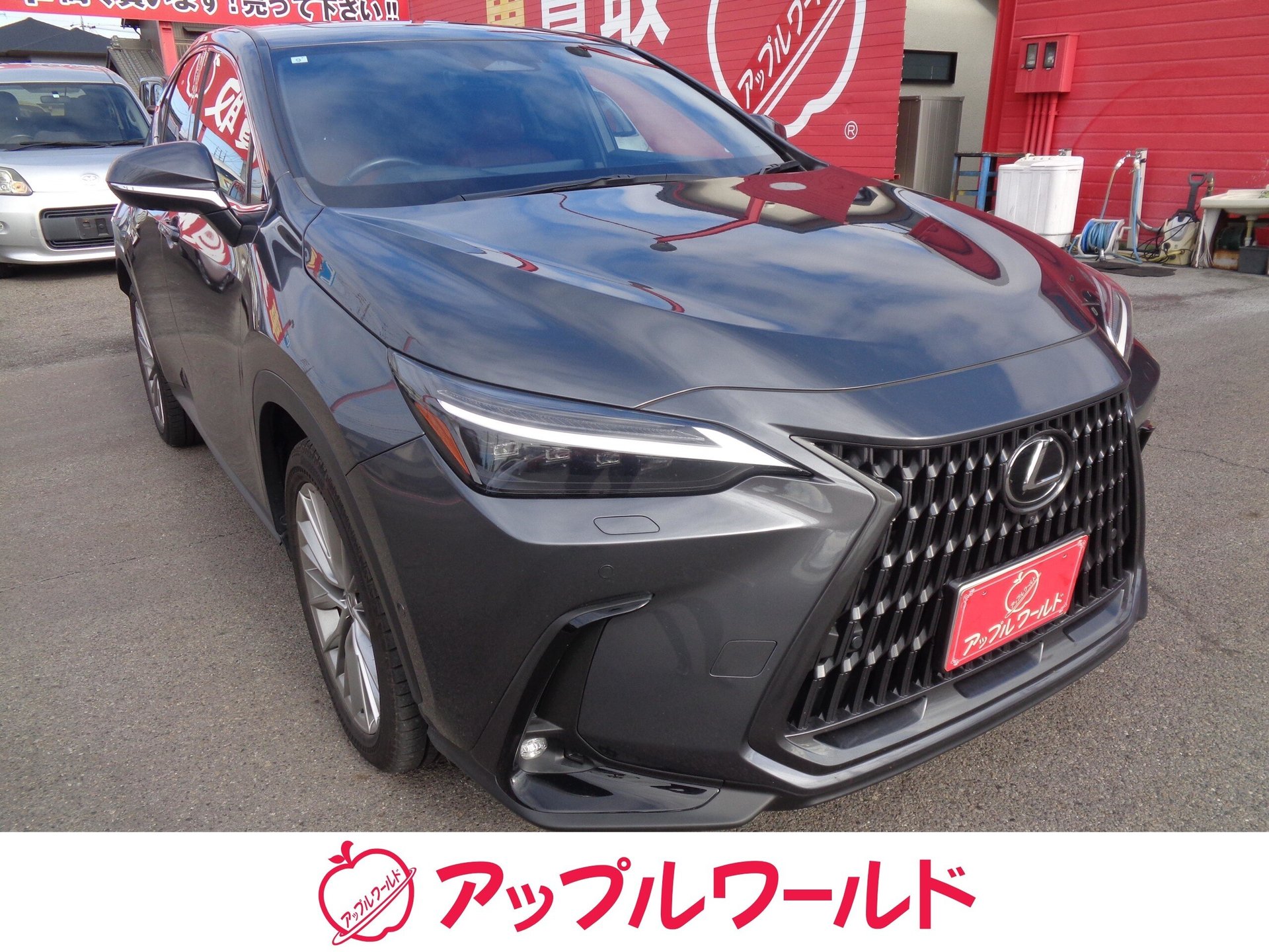 LEXUS NX - View 1