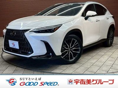 LEXUS NX - 1