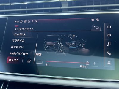 2024 AUDI Q8 — миниатюра 28