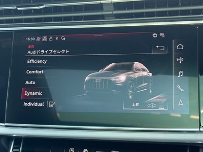 2024 AUDI Q8 — миниатюра 23