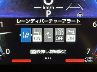 TOYOTA LAND CRUISER 250 - 7