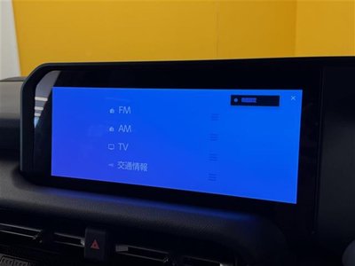 TOYOTA LAND CRUISER 250 - 3