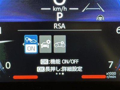 TOYOTA LAND CRUISER 250 - 9