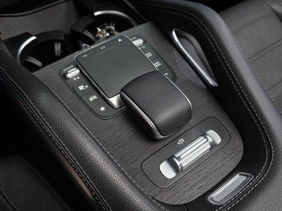 2022 Mercedes-BENZ GLE 缩略图 30