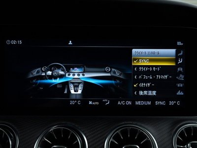2019 Mercedes-BENZ GT AMG — миниатюра 59