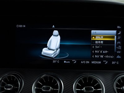 2019 Mercedes-BENZ GT AMG — миниатюра 58