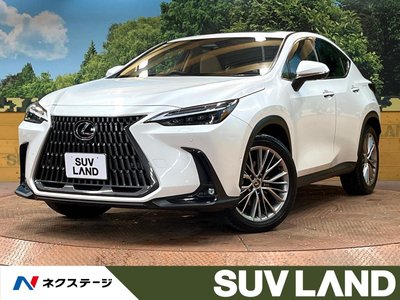 LEXUS NX - 1