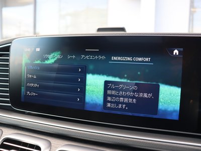 2025 Mercedes-BENZ GLS — миниатюра 50