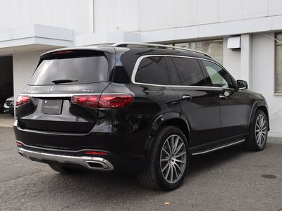 2025 Mercedes-BENZ GLS — миниатюра 11