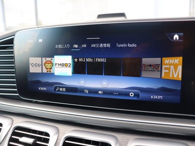 2025 Mercedes-BENZ GLS — миниатюра 42