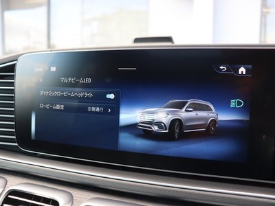 2025 Mercedes-BENZ GLS — миниатюра 47