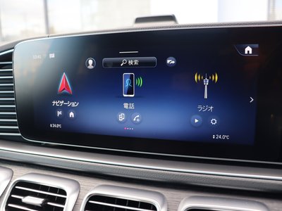 2025 Mercedes-BENZ GLS — миниатюра 41