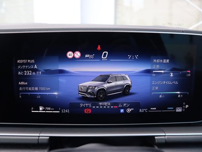 2025 Mercedes-BENZ GLS — миниатюра 30