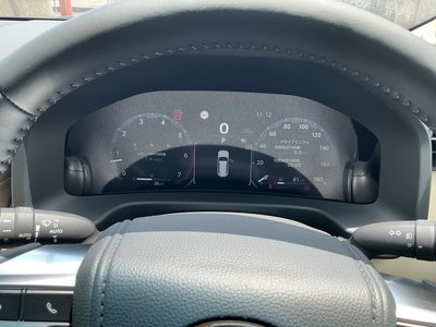 2025 Toyota LAND CRUISER 300 — миниатюра 19