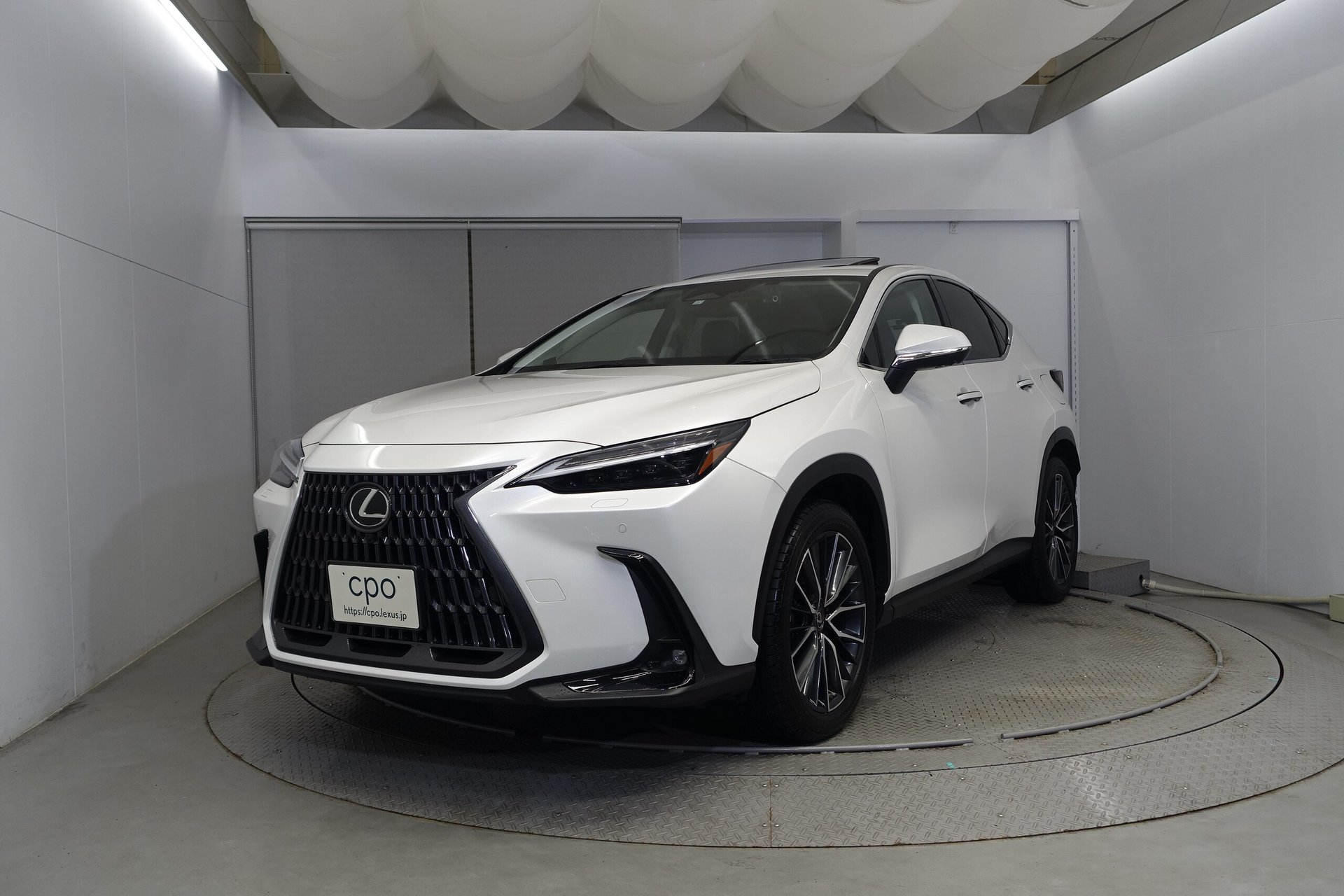 LEXUS NX - View 1