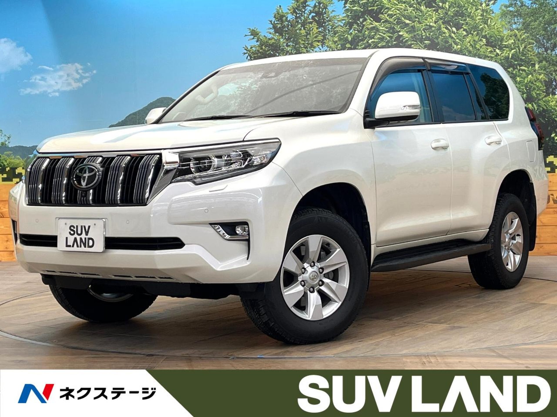 TOYOTA LAND CRUISER PRADO - View 1