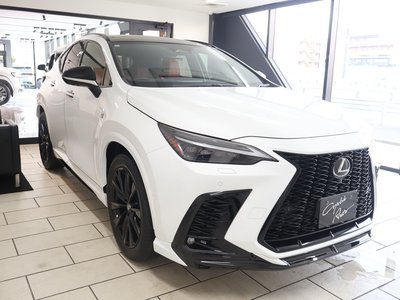 صورة مصغرة 41 لـ 2024 Lexus NX